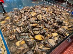 鲍鱼-钱库里海鲜自助(星海广场店)