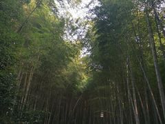 -苏州环秀晓筑养生度假村
