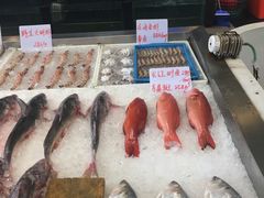 -莆鑫海鲜城(浏河店)
