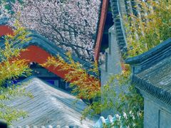 -颐和园