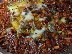 -雲蜀龙阁·金牌水煮鱼(方庄店)