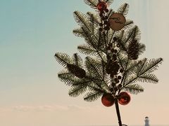 -海天一色海景自助餐厅(西港花园店)