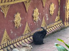 -西双版纳总佛寺