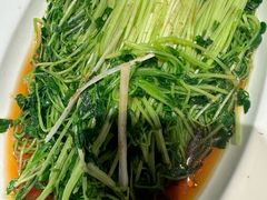 -珊海荟海鲜楼·天津菜·海肠捞饭·皮皮虾锅贴王(佛罗伦萨店)