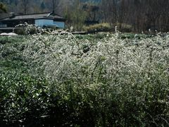 -中国茶叶博物馆(双峰馆区)