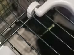 -宠爱国际动物医院·疑难骨科·心肾内科·皮肤科(太阳宫店)