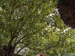 -观唐（国际）度假村温泉