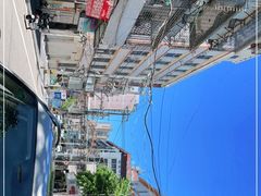 -溪岸路花鸟市场