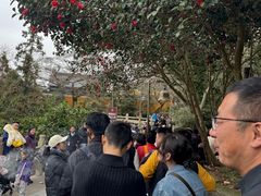 -普陀山慧济禅寺