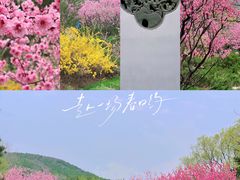 -国家植物园