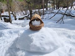 -新疆那拉提国家旅游度假区