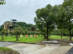 -东平国家森林公园