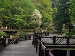-宁海森林温泉