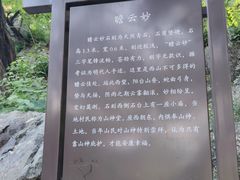 -阳台山自然风景区