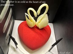 -BLACKSWAN黑天鹅(新希望店)