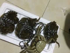 -喜洋洋蟹庄(阳澄湖店)