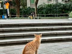 -晓港公园