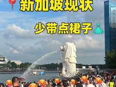 -圣淘沙天际线斜坡滑车