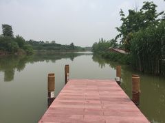 -白鹭湾湿地公园