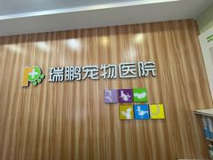 -瑞鹏宠物医院·骨科·猫科·内科(第一中心)