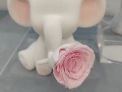 -ROSEONLY诺誓(广州K11店)