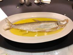 鸡汁长江白鱼-A One Kitchen·南京精菜馆(德基广场店)