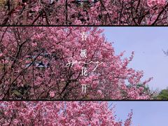 -国家植物园