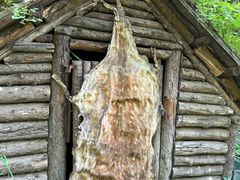 -峡谷浮石林景区