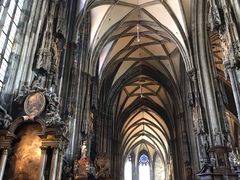 -斯蒂芬主教座堂(Stephansdom)
