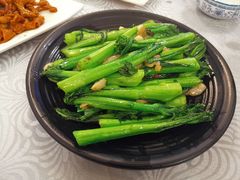 生炒连州菜心-粤·向群饭店(龙津东路总店)