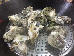-蚝专家(北滘店)