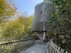 -福道