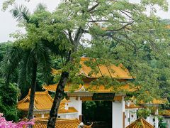 -深圳仙湖植物园