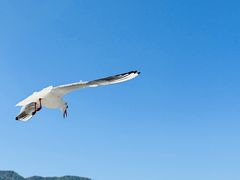 -海埂大坝