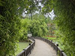 -洋湖国家湿地公园