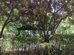-玲珑塔公园