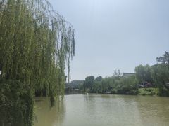 -盆景园(扬州大运河文化旅游度假区)