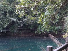 -鼎湖山风景区
