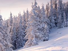 -二中酸辣汤(无锡梁溪区店)