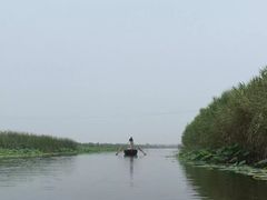 -白洋淀景区