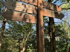 -岣嵝峰国家森林公园