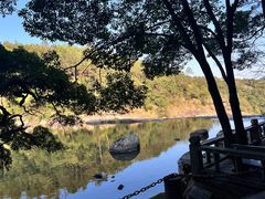 -九鲤湖风景区