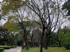 -云溪植物园