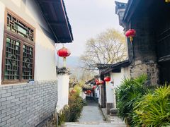 -后柳水乡