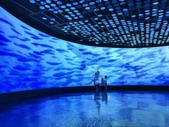 -同济大学四平路校区深海探索馆