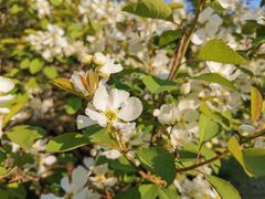 -长春公园(普阳街道)