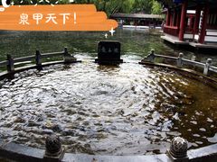 -百脉泉景区