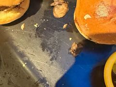 -bluefrog蓝蛙(水游城店)