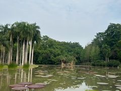 -中国科学院西双版纳热带植物园