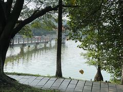 -番禺大夫山森林公园